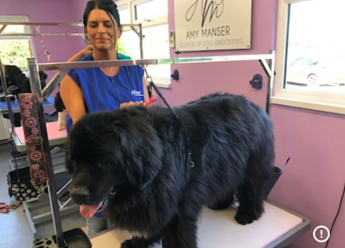 The grooming room at Woof Love & More, Grantham