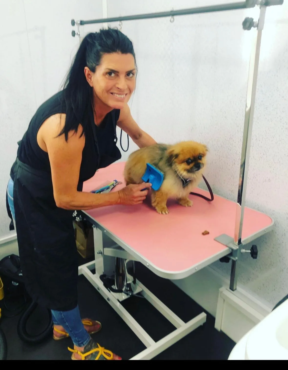 Professional dog groomer at Woof Love & More, Grantham